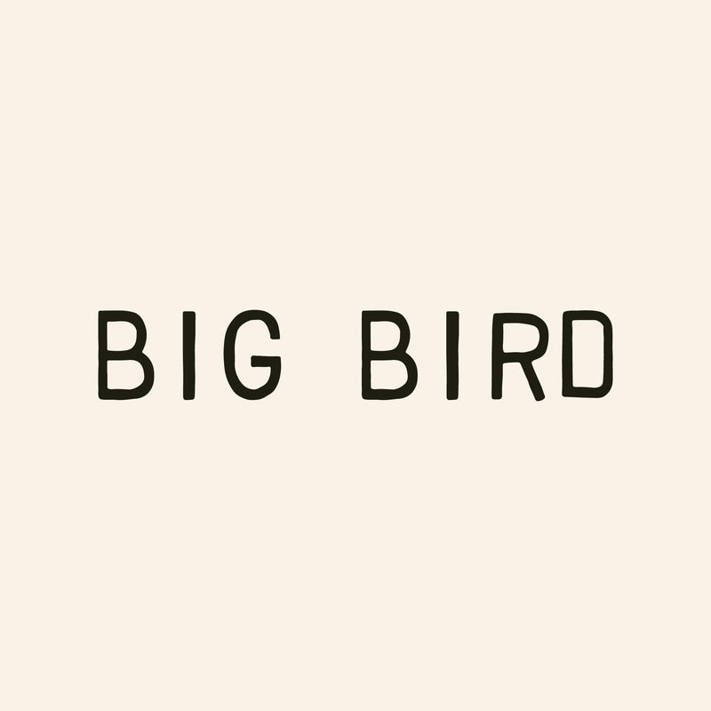 Big Bird