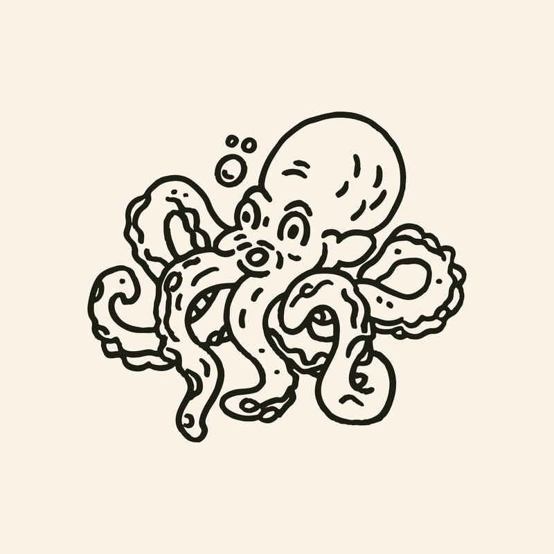Octopus