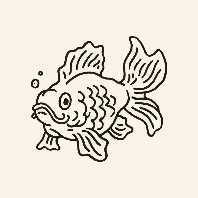 Goldfish