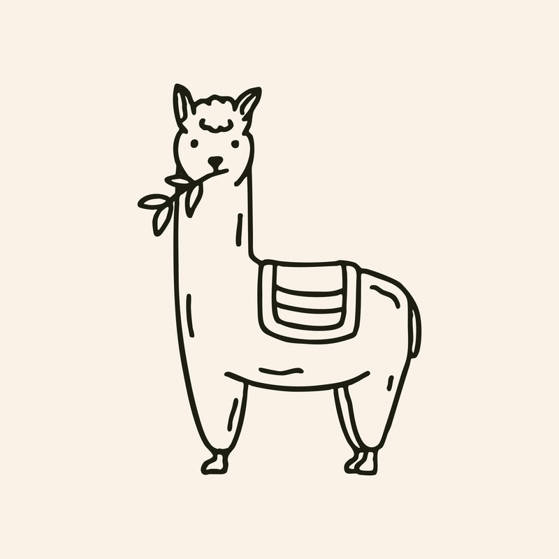 Lama