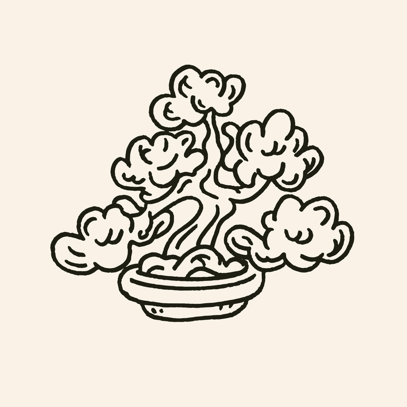 Bonsai Tree