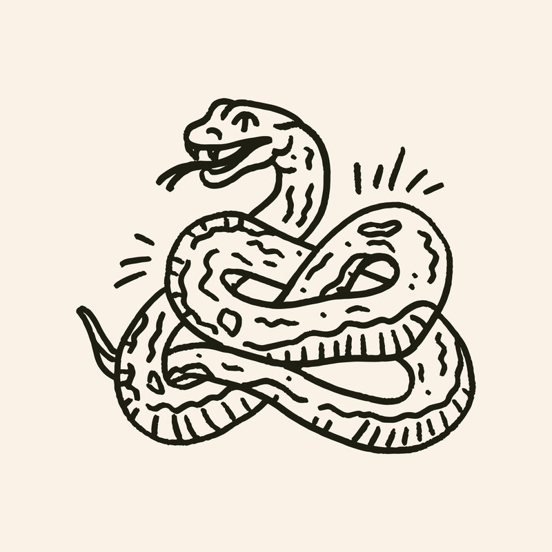 Snake